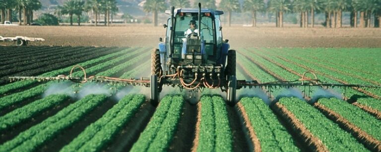 4 impactos dos agrotóxicos no meio ambiente
