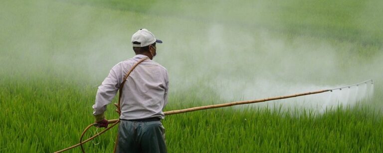 As vantagens e as desvantagens de trocar pesticidas químicos por biopesticidas