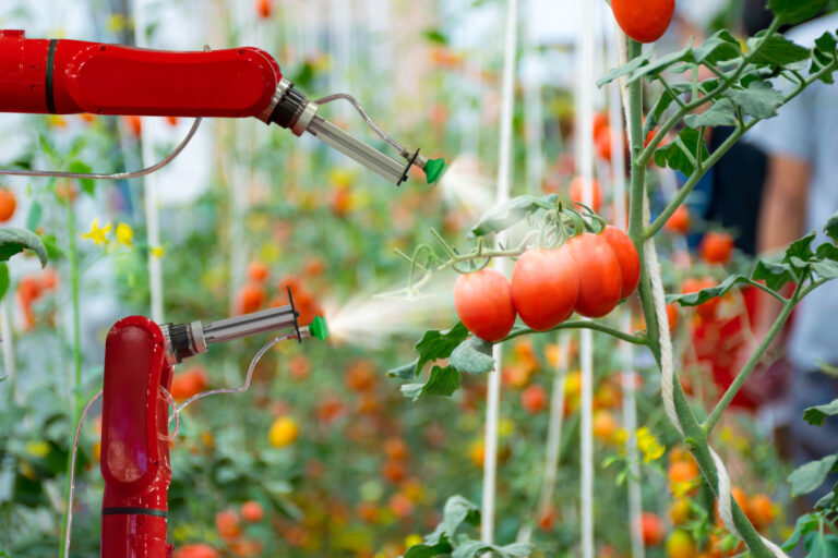 5 estratégias de produção com menos agrotóxico e mais tecnologia