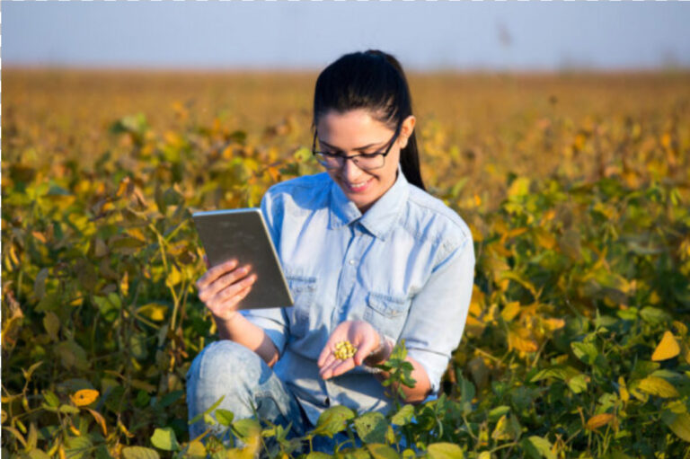 Engenheiro agrônomo: por que a profissão é importante?