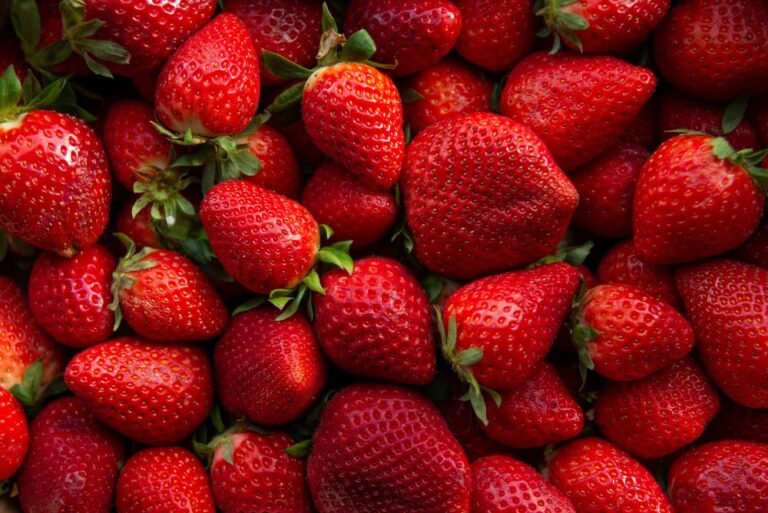 Como plantar morango: aprenda todas as formas de cultivar a fruta
