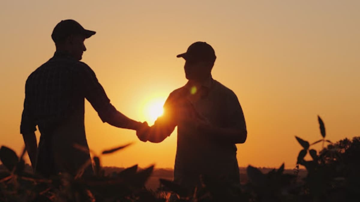 O que é cooperativismo e qual é a importância dele para o agronegócio?
