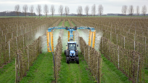 Glifosato: o que é e para que serve o defensor agrícola