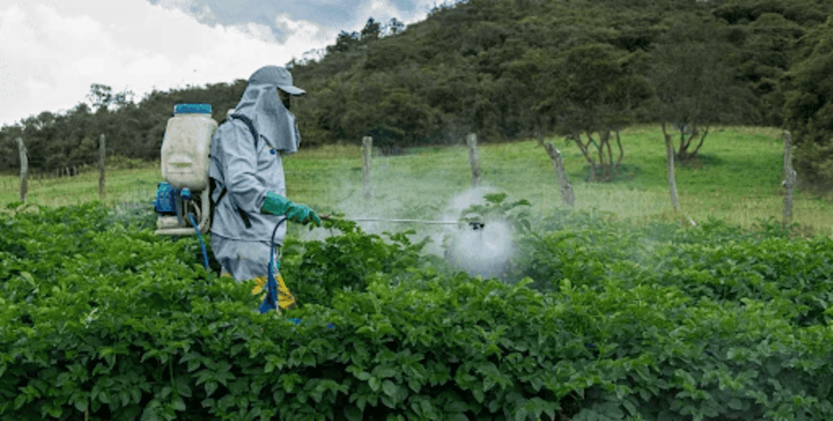 Conheça como são aplicados os 5 principais agrotóxicos no Brasil