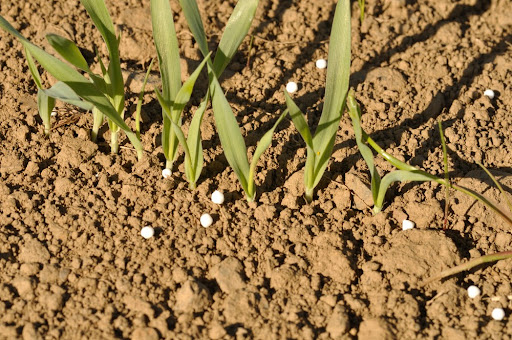 Como o nitrato de amônio é usado na agricultura?