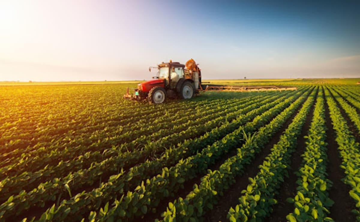 Insumos agrícolas: saiba o que são e conheça os diferentes tipos