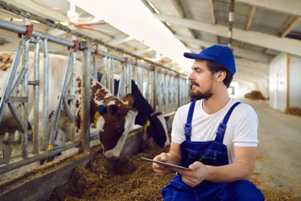 Agropecuária, agricultura e agronegócio: semelhanças e diferenças