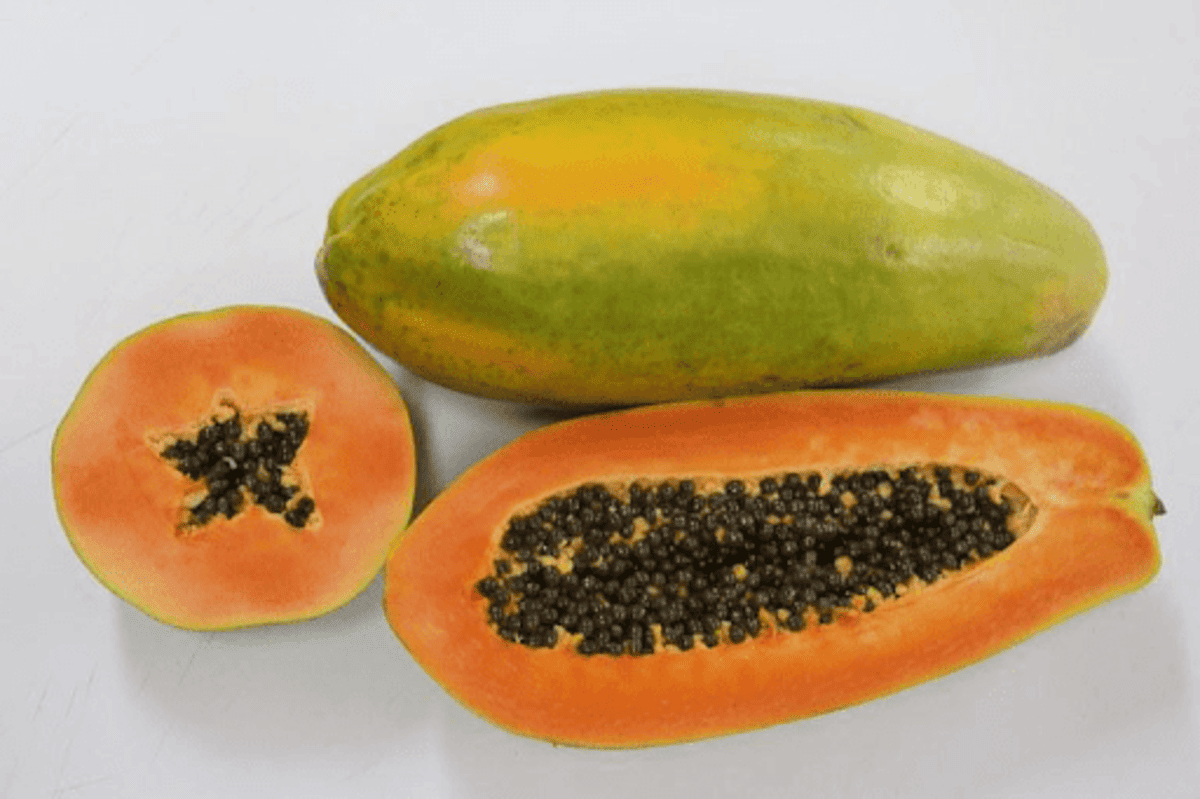 Mamão formosa: conheça a produção e os benefícios da fruta