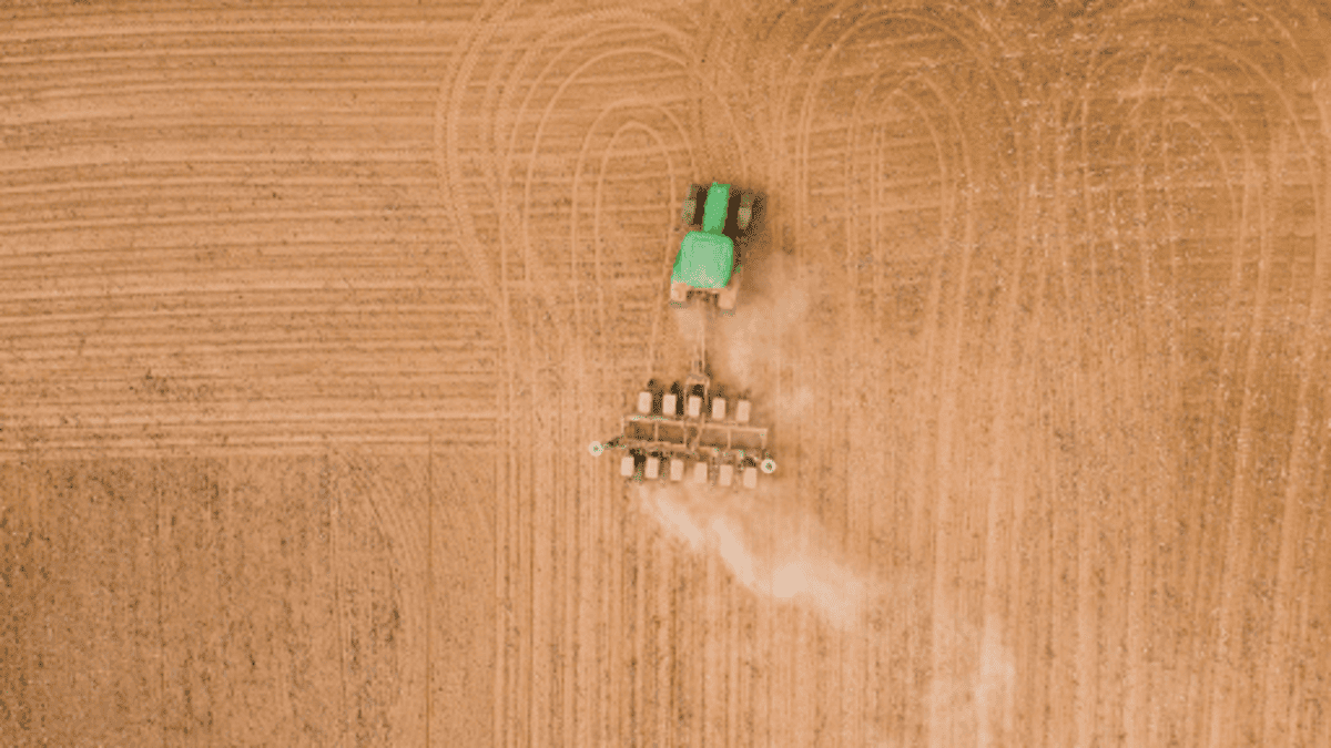Calcário agrícola: vantagens, tipos e como deve ser usado