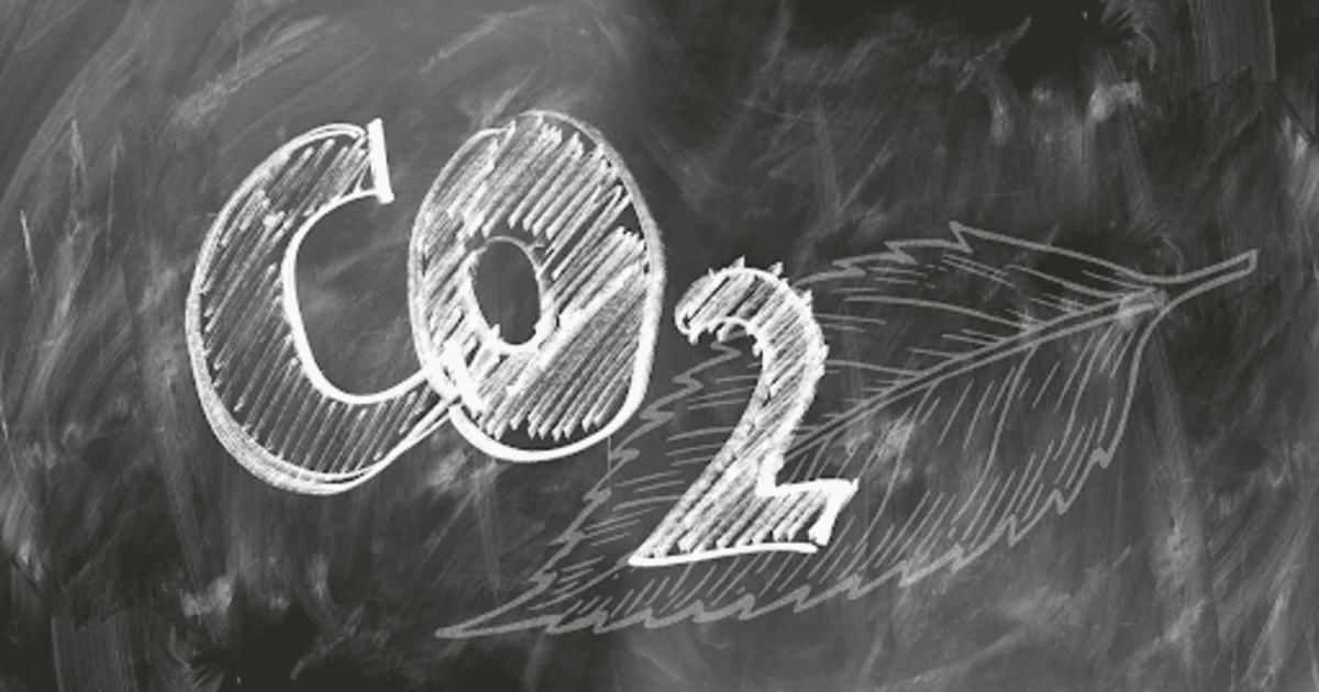 Crédito de carbono: como negociar na prática?