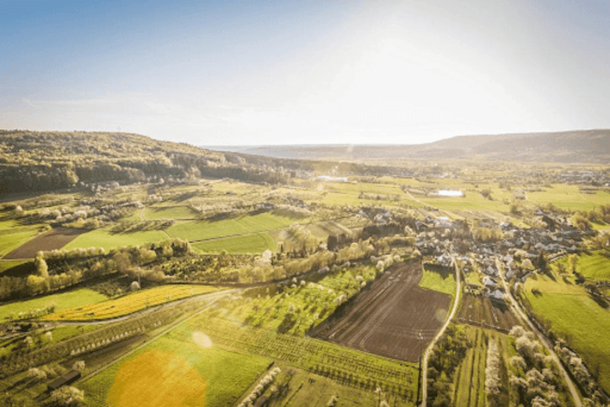 CCIR: como funciona o Certificado de Cadastro de Imóvel Rural?