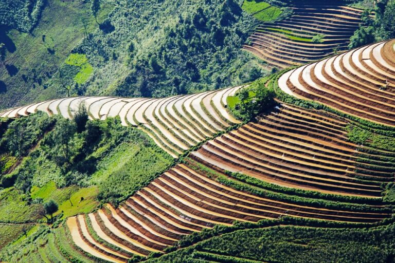 Terraceamento: o que é e como funciona a técnica agrícola
