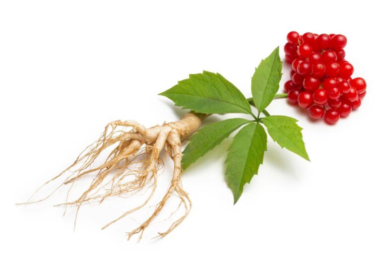 Ginseng: o que é e para que serve essa planta medicinal