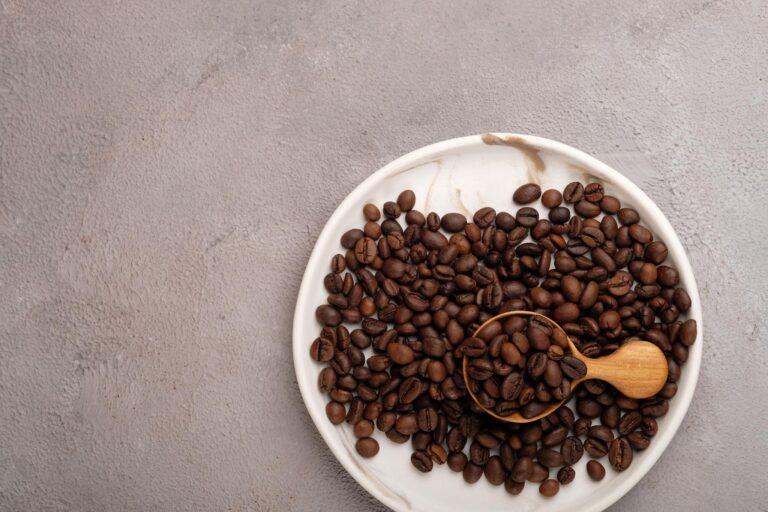 Como plantar café? Aprenda o passo a passo