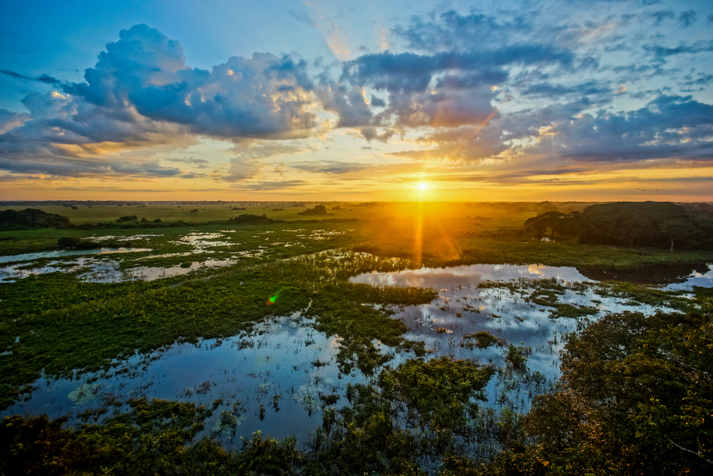 50 Pantanal abre