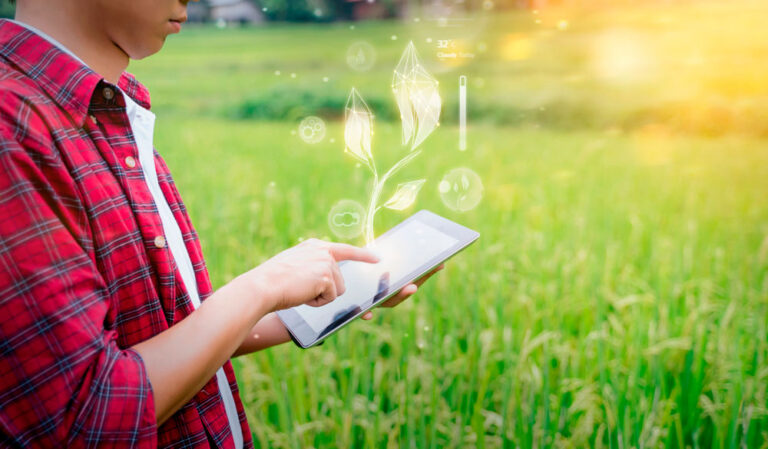 Trabalho rural: 5 profissões para quem quer trabalhar no campo