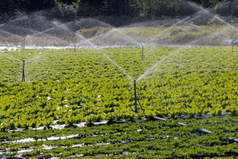 Como a irrigação sustentável pode combater o aquecimento global?