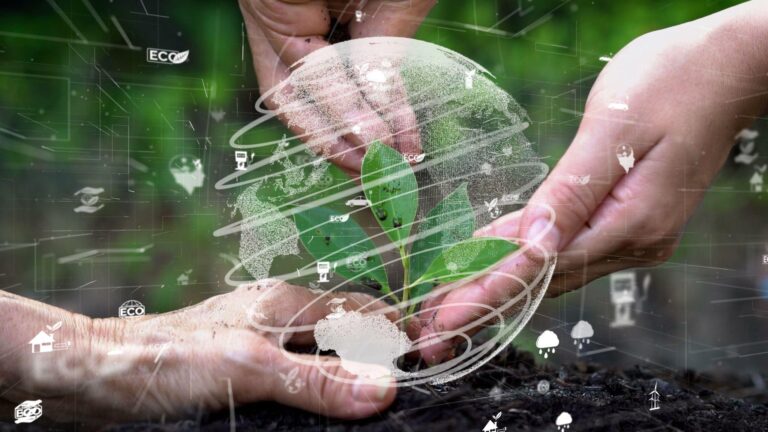 Como é calculado o estoque de carbono no solo?