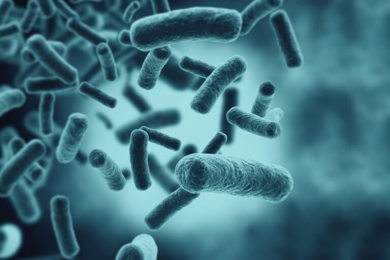 5 informações que você precisa saber sobre a salmonela