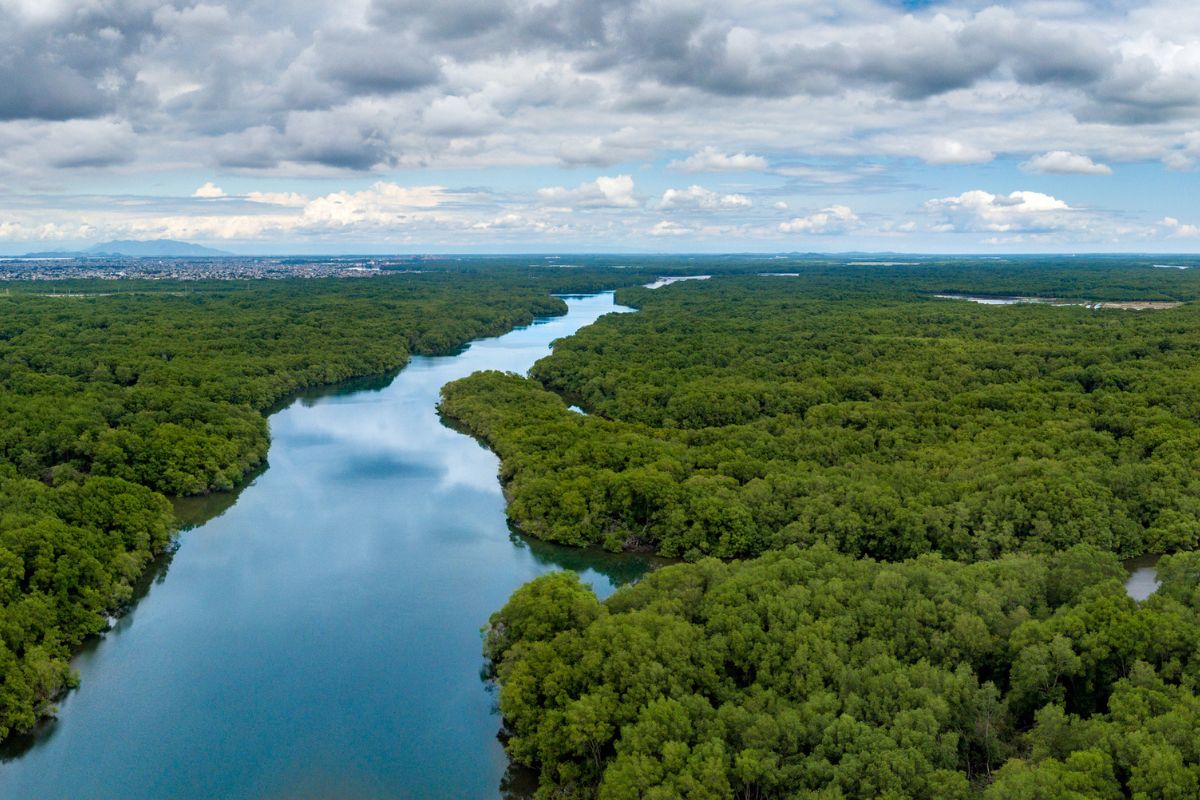 Formação de nuvens da floresta amazônica. Foto: Adobe Stock