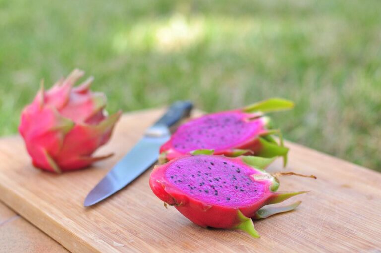 Como cultivar pitaya?