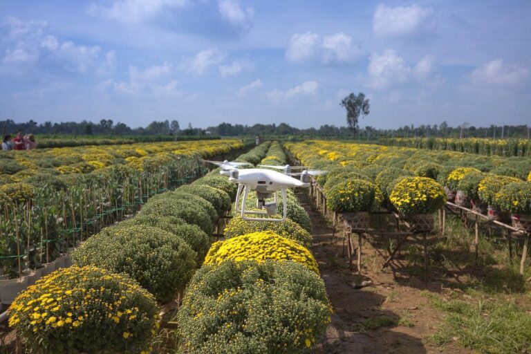 5 funções do drone na agricultura