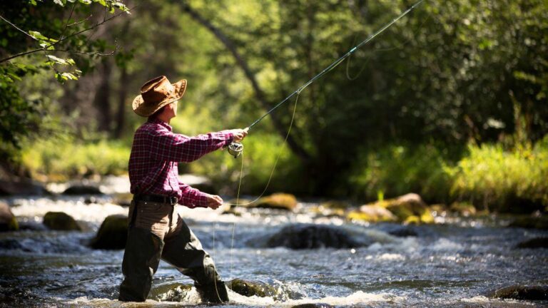 Licença para pesca: quando o documento é necessário?
