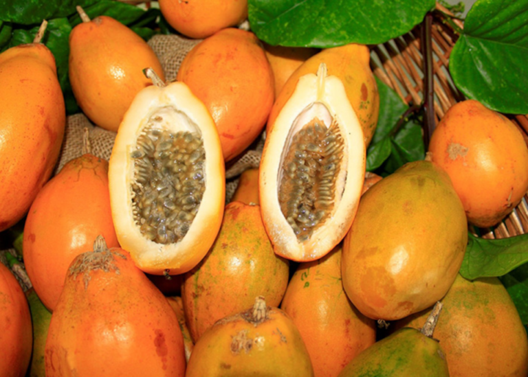 Maracujá doce: como cultivar e propriedades do fruto