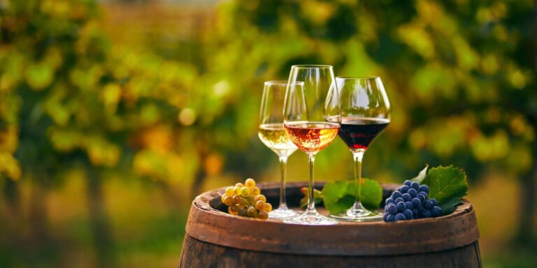 O que são viticultura, vinicultura e vitivinicultura?