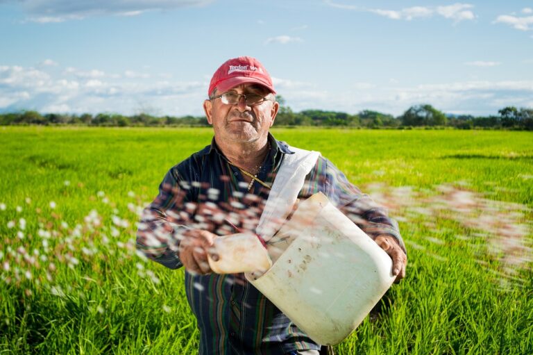 IR do Produtor Rural 2023: o que é importante saber