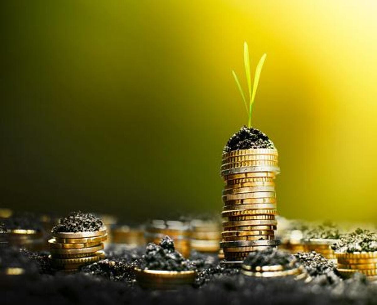 Conheça os 5 cultivos mais rentáveis do Brasil