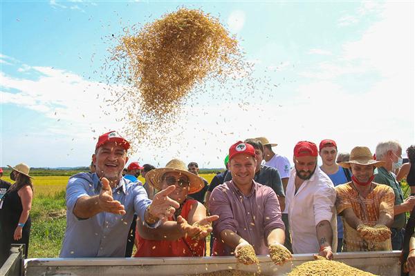 Reforma agrária: conheça a história e os impactos no Brasil