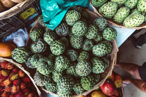 Como plantar atemoia e quais são os benefícios da fruta?