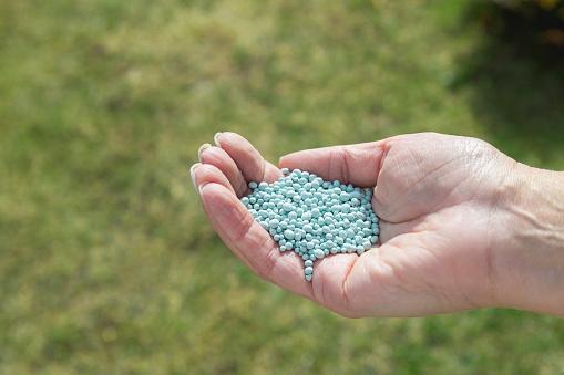 Fertilizantes: conheça os tipos e a função do insumo nos cultivos