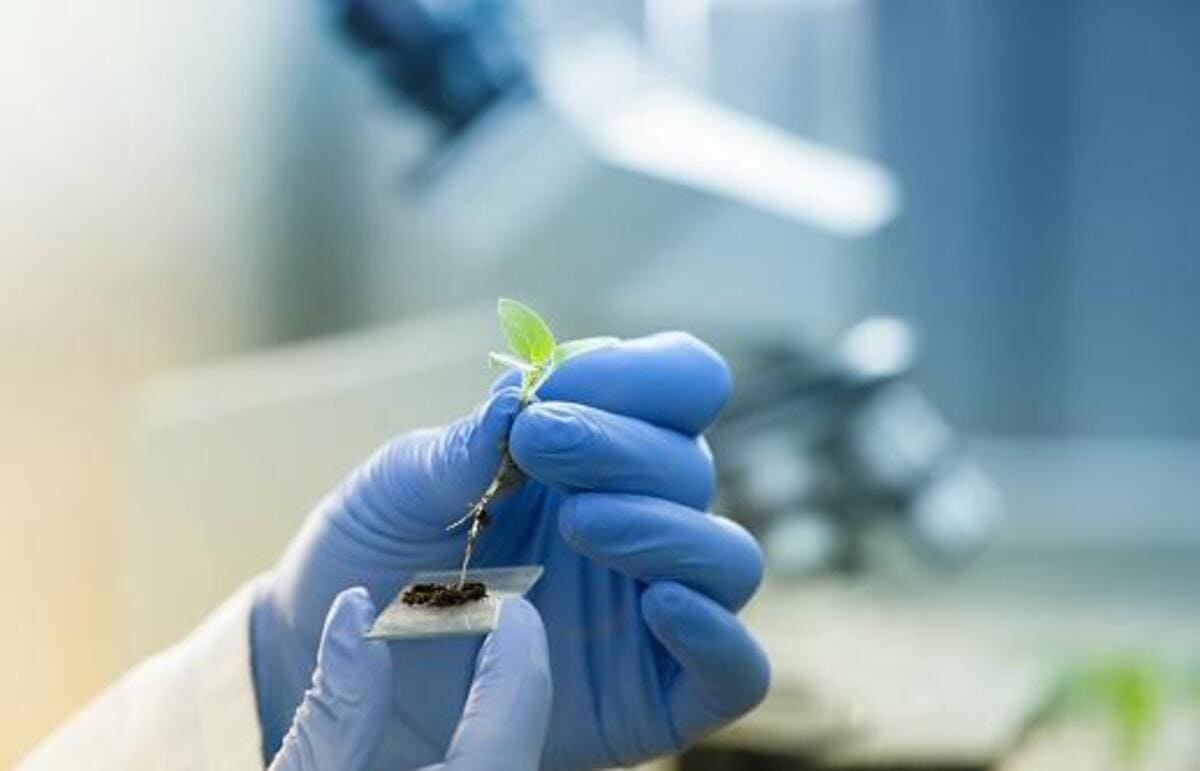 14 Biotecnologia abre