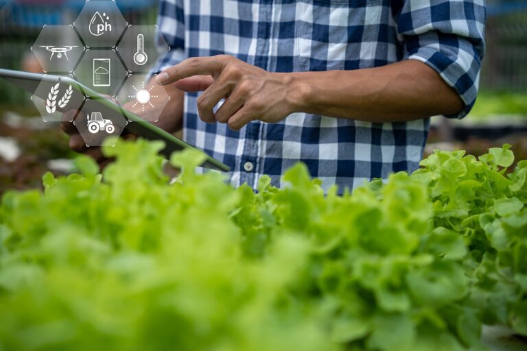 O que é e como funciona a agricultura de precisão?