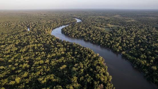 amazonia