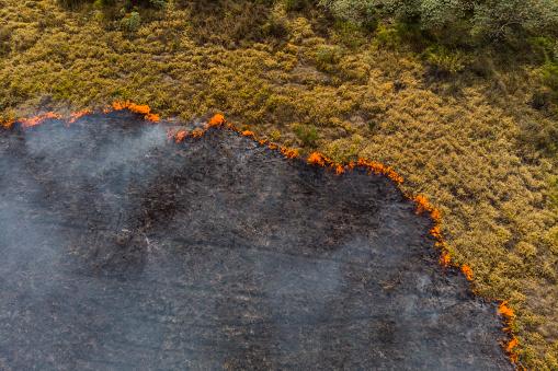 Política nacional de manejo do fogo é sancionada pelo governo federal