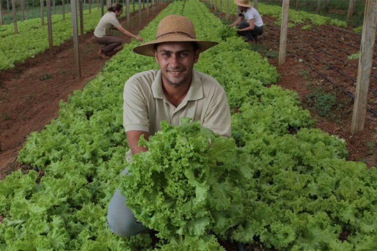 Plano Safra da Agricultura Familiar: "Foi o melhor que a gente pôde fazer", diz Lula