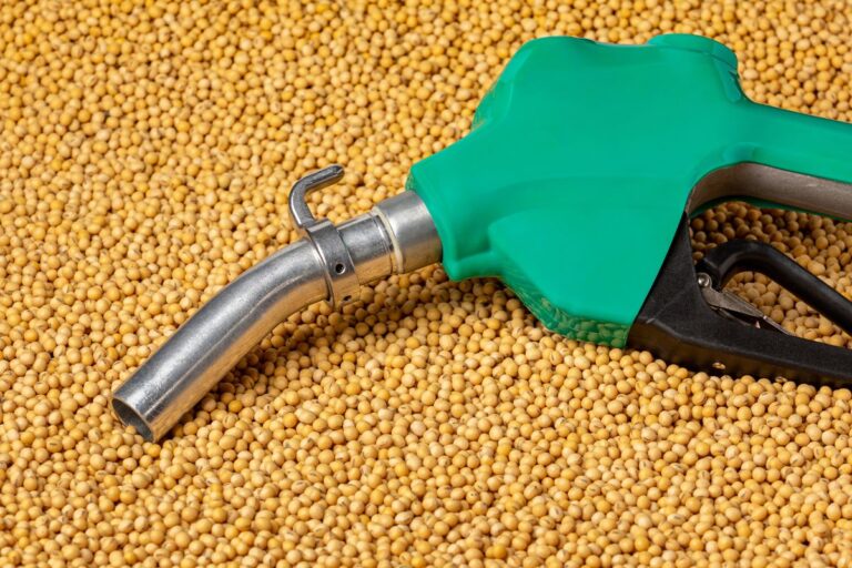 Governo amplia participação de agricultores familiares na produção de biocombustível