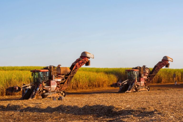 Exportações do agro em São Paulo crescem 18% em janeiro e somam US$ 2,22 bilhões