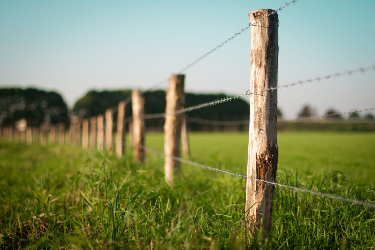 Foto: Adobe Stock