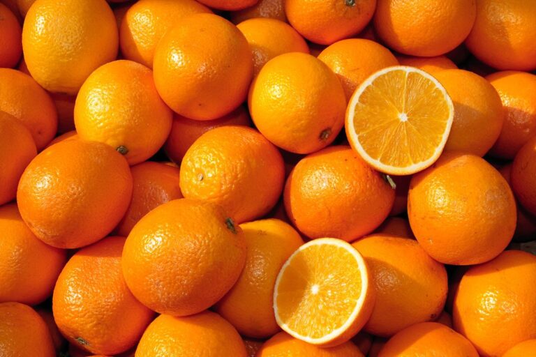 FAESP aponta produção de 307 milhões de caixas de laranja na safra 2023/2024