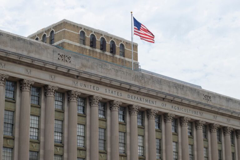 USDA: Exportações agropecuárias dos EUA devem cair US$ 8,2 bi no ano fiscal 2024, para US$ 170,5 bi