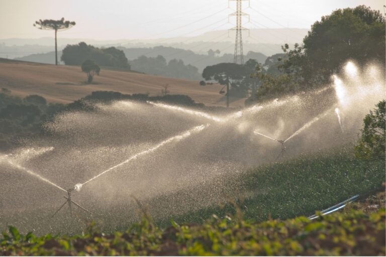 Ministério do Desenvolvimento Agrário estuda nova linha no Mais Alimentos
