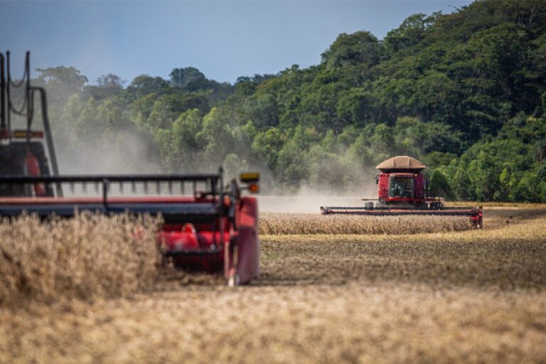 Preço de commodities e quebra de safra devem puxar vendas de máquinas agrícolas para baixo em 2024