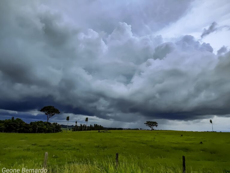 Em janeiro, 41 de 47 municípios monitorados em Mato Grosso do Sul tiveram chuva abaixo da média
