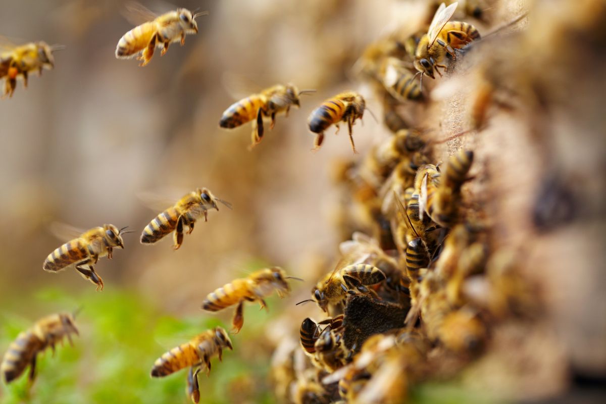 Foto: Adobe Stock