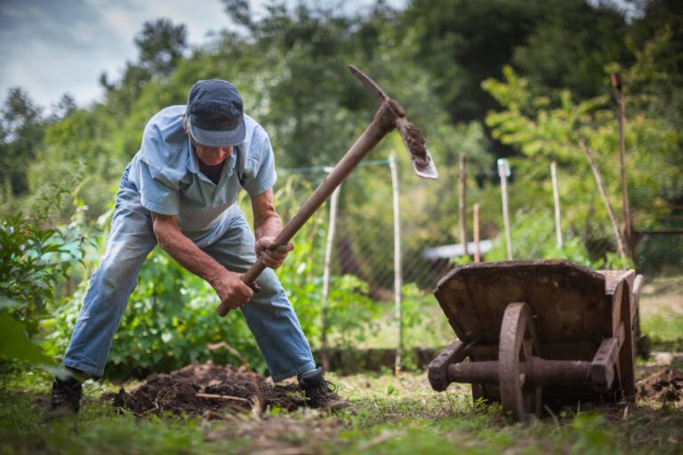 Pedidos de aposentadoria rural crescem 34,9% nos últimos três anos; veja as regras e como acessar o benefício