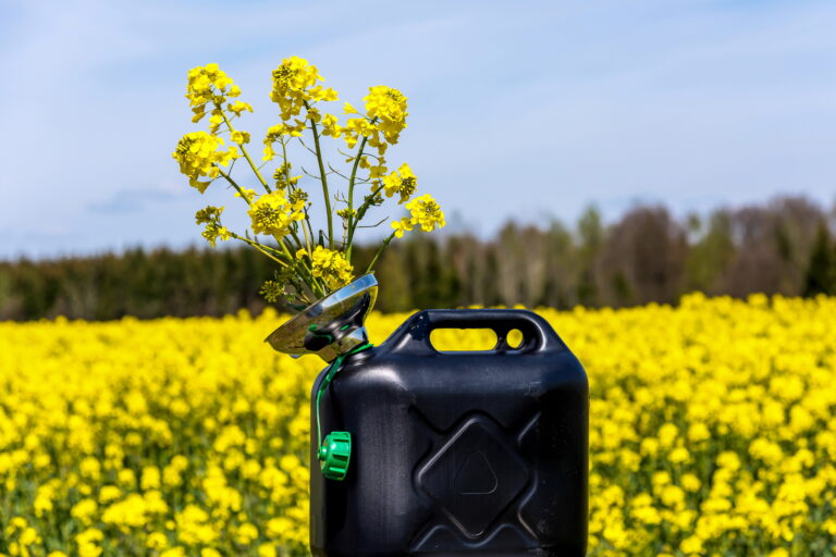 Biodiesel está pronto para a transição energética, aqui e agora